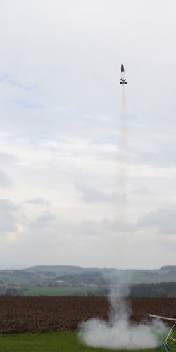 2013 Svojek Mirek Topinka